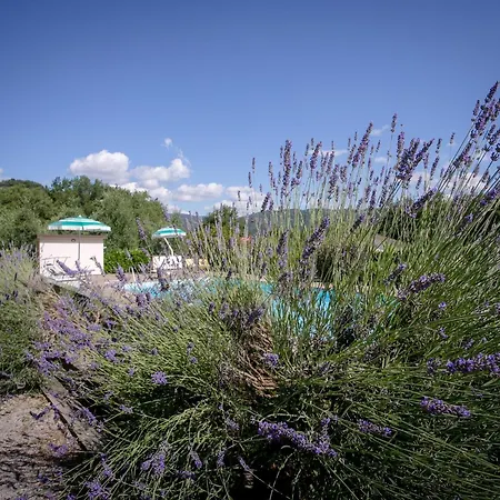 In Tuscany With Private Pool And Hill View Castiglion Fiorentino