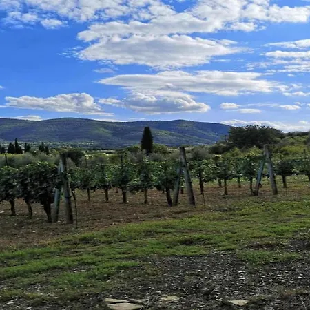 Villa In Tuscany With Private Pool And Hill View