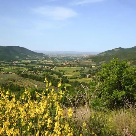 Villa In Tuscany With Private Pool And Hill View Castiglion Fiorentino